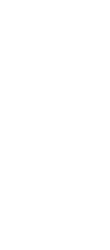 whitedoodle